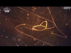 Télévision en circuit fermé