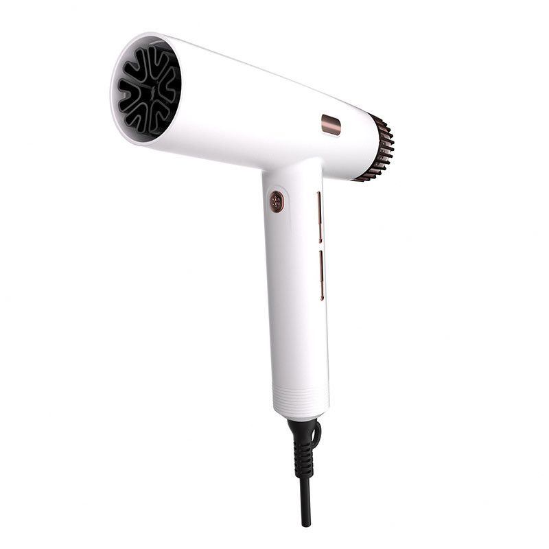 Séche-cheveux à la maison Solon 1800W Haute vitesse Ion négatif électrique Ionique séche-cheveux professionnels souffleur