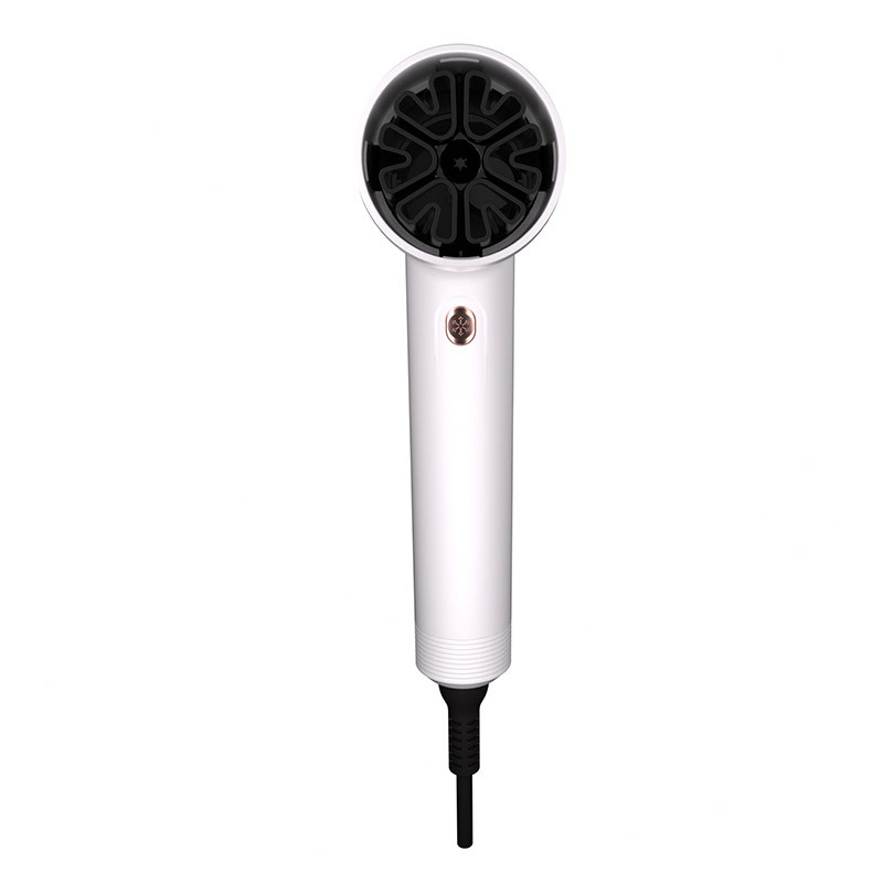 Séche-cheveux à la maison Solon 1800W Haute vitesse Ion négatif électrique Ionique séche-cheveux professionnels souffleur