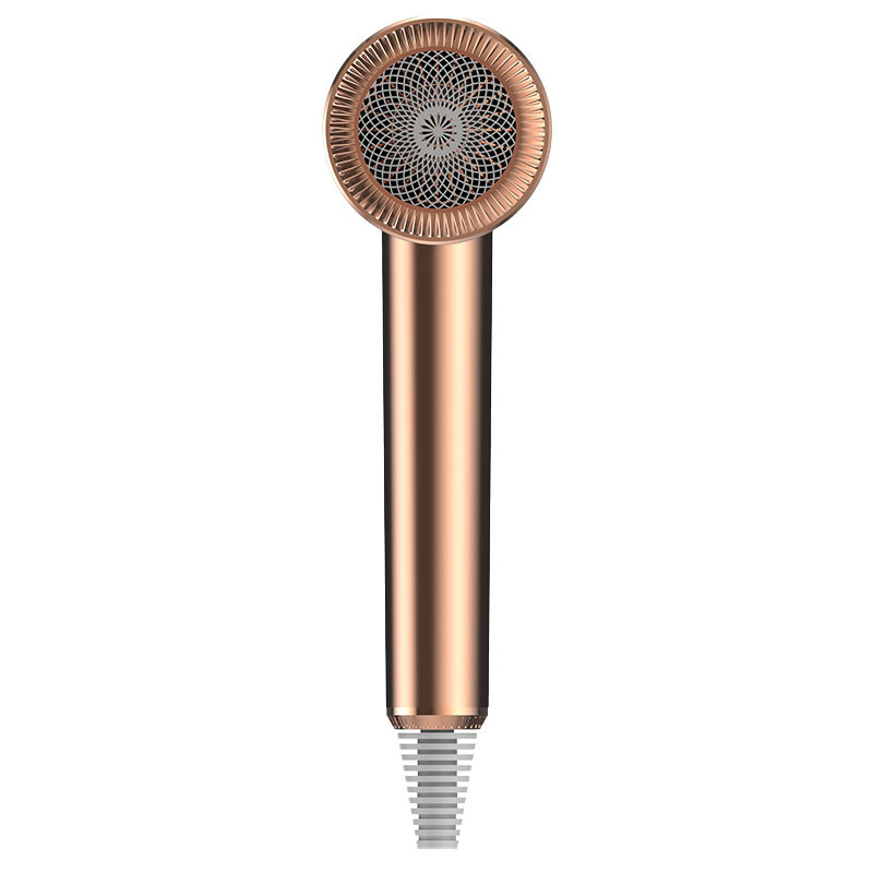 Portable Ion négatif 1500W réparation sèche-cheveux électrique pour la maison Machine de sèche-cheveux sans fil