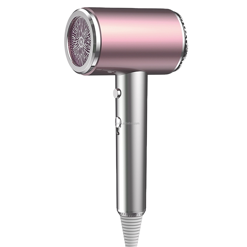 Portable Ion négatif 1500W réparation sèche-cheveux électrique pour la maison Machine de sèche-cheveux sans fil