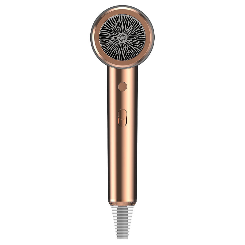 Portable Ion négatif 1500W réparation sèche-cheveux électrique pour la maison Machine de sèche-cheveux sans fil
