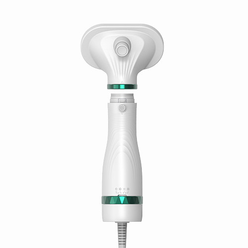 300W électrique mini ménage séchoir à cheveux pour animaux de compagnie bruit faible chats chiens toilettage souffleur souffleur d'eau pour animaux de compagnie