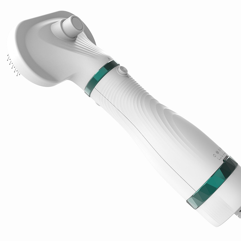 300W électrique mini ménage séchoir à cheveux pour animaux de compagnie bruit faible chats chiens toilettage souffleur souffleur d'eau pour animaux de compagnie