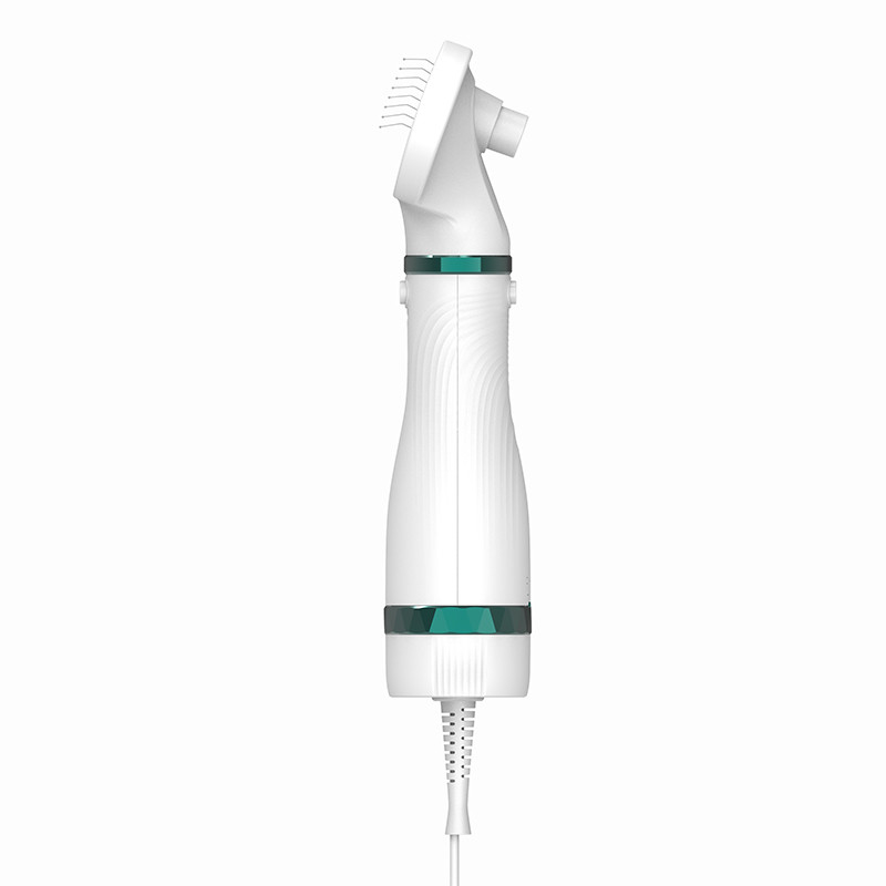300W électrique mini ménage séchoir à cheveux pour animaux de compagnie bruit faible chats chiens toilettage souffleur souffleur d'eau pour animaux de compagnie