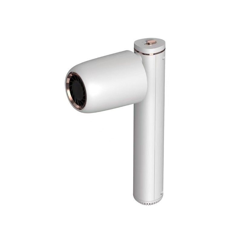 Séche-cheveux sans fil séche-cheveux rechargeable portable pour animaux de compagnie avec vent chaud et froid pour voyager en plein air
