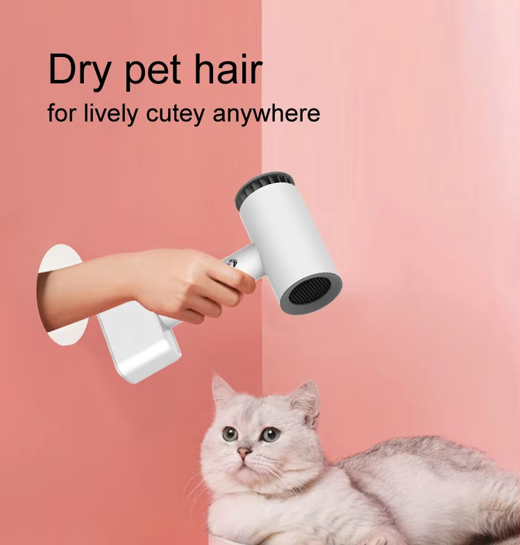 Séche-cheveux sans fil personnalisable avec écran LCD et haute concentration d'ions négatifs