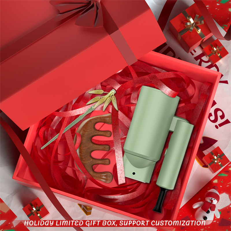 Boîte cadeau pour les fêtes personnalisée sèche-cheveux baguette de curling avec 1M Power Cord Concentrator Nozzle