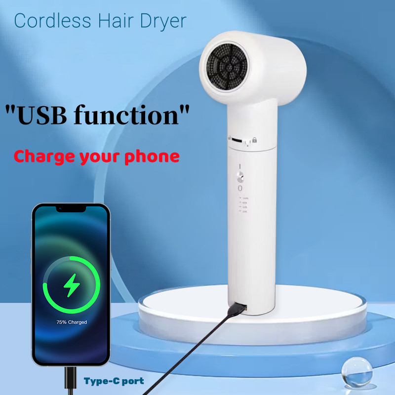 Séche-cheveux portable de 450W sans fil avec batterie de 48000 mAh
