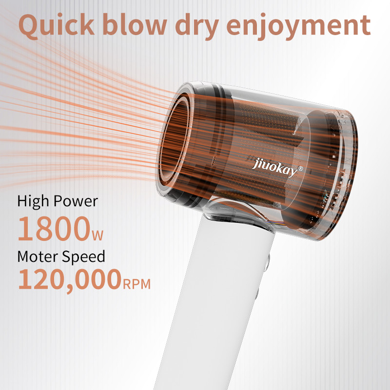 Voyage 1800W haut débit sèche-cheveux à moteur sans pinceau Avec 110,000 RPM et 5 milliards de plasma