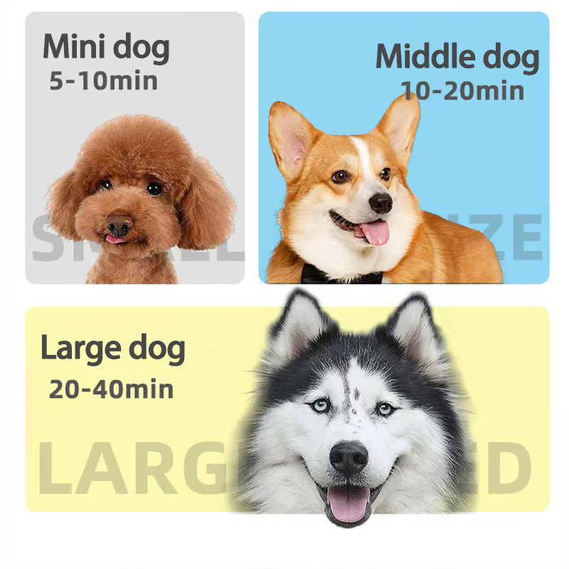 Séche-cheveux à séchage rapide pour animaux de compagnie Séche-cheveux professionnel silencieux pour chiens, chats et animaux de compagnie Portable léger