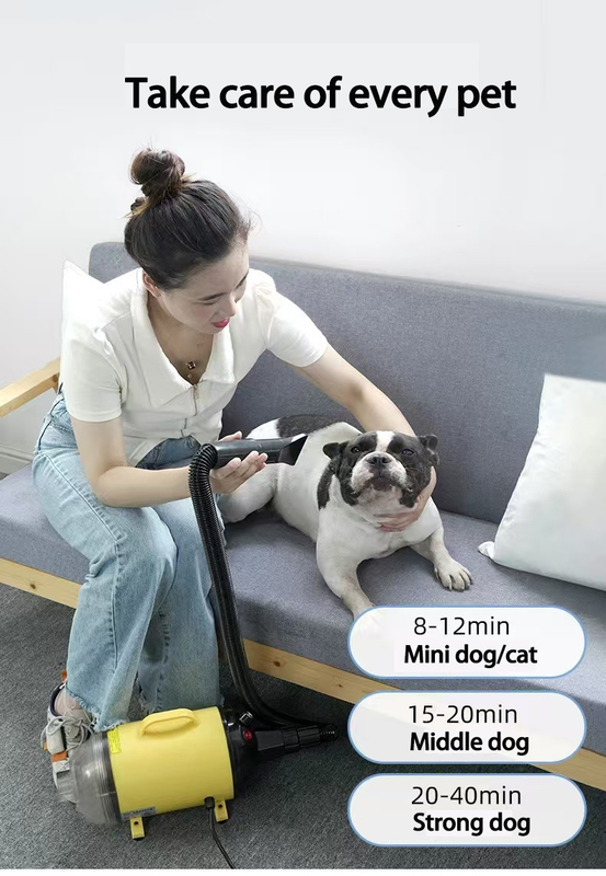 Séche-cheveux à séchage rapide pour animaux de compagnie Séche-cheveux professionnel silencieux pour chiens, chats et animaux de compagnie Portable léger