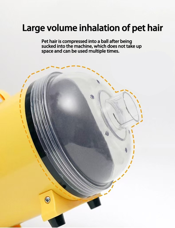 Séche-cheveux professionnel pour animaux de compagnie Séche-cheveux silencieux 4 en 1 pour chiens et chats Séchage rapide Utilisation à domicile légère
